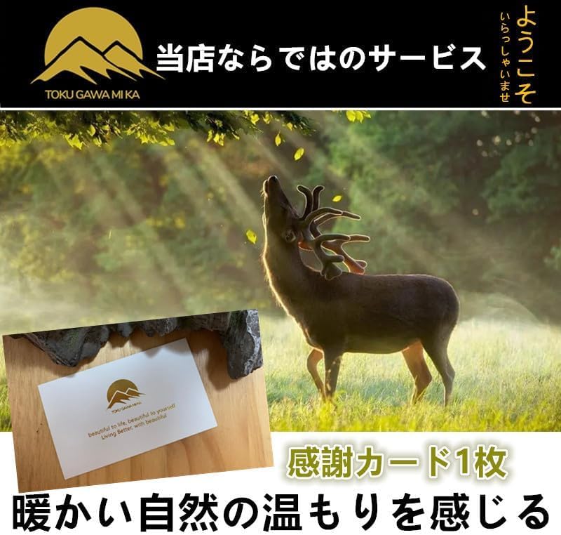 Amazon | TOKUGAWAMIKA 蜜蜂 ミツバチ 用 飼育 シート 巣礎 西洋